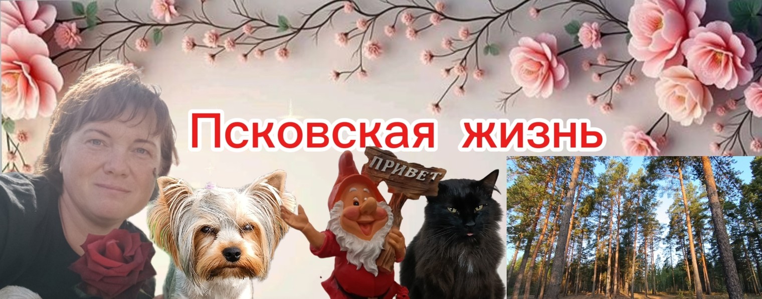 Псковская жизнь