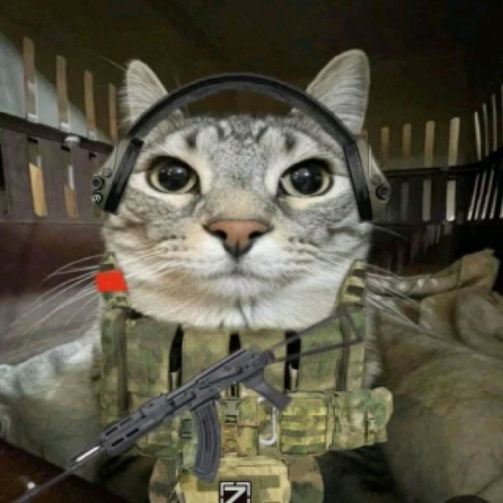 ..... кот КИРОВ🐱🐈🐈⬛ .....