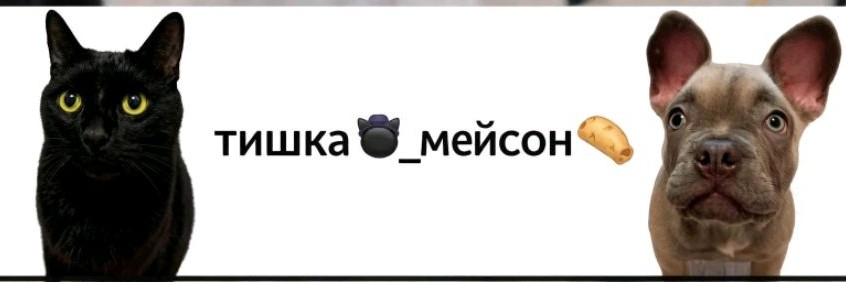 Tuшka🐈⬛🎩& Meйcon🐕🥐