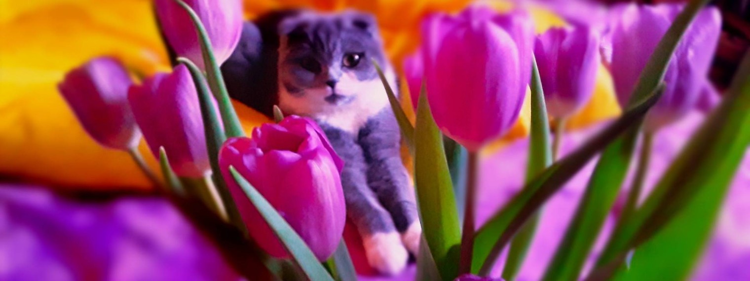 Надя Духанина