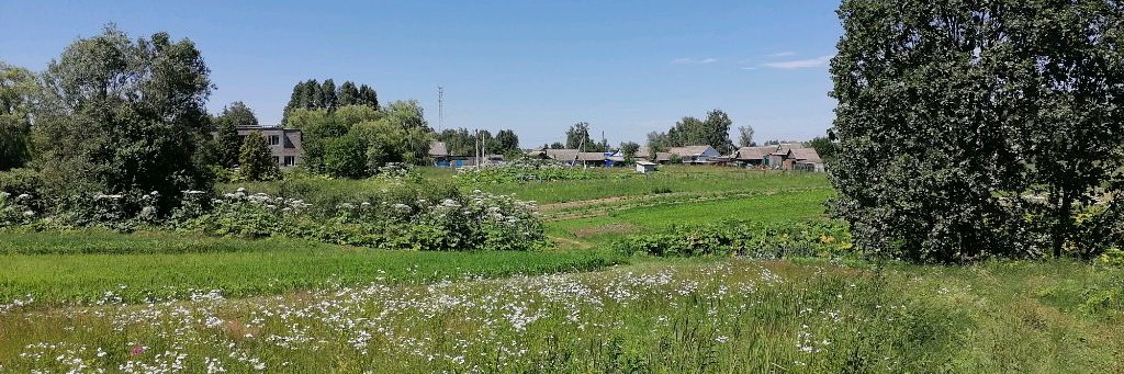 Николай Решетников