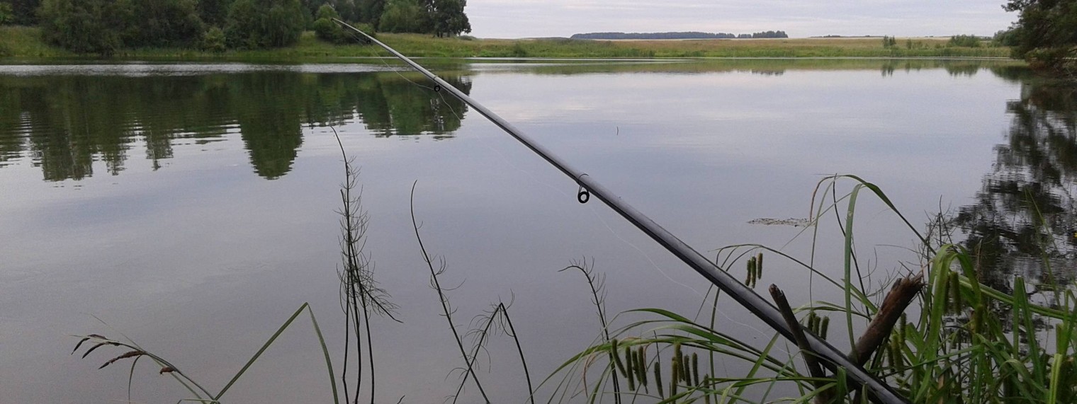 Вова Из Кирова, Вятки