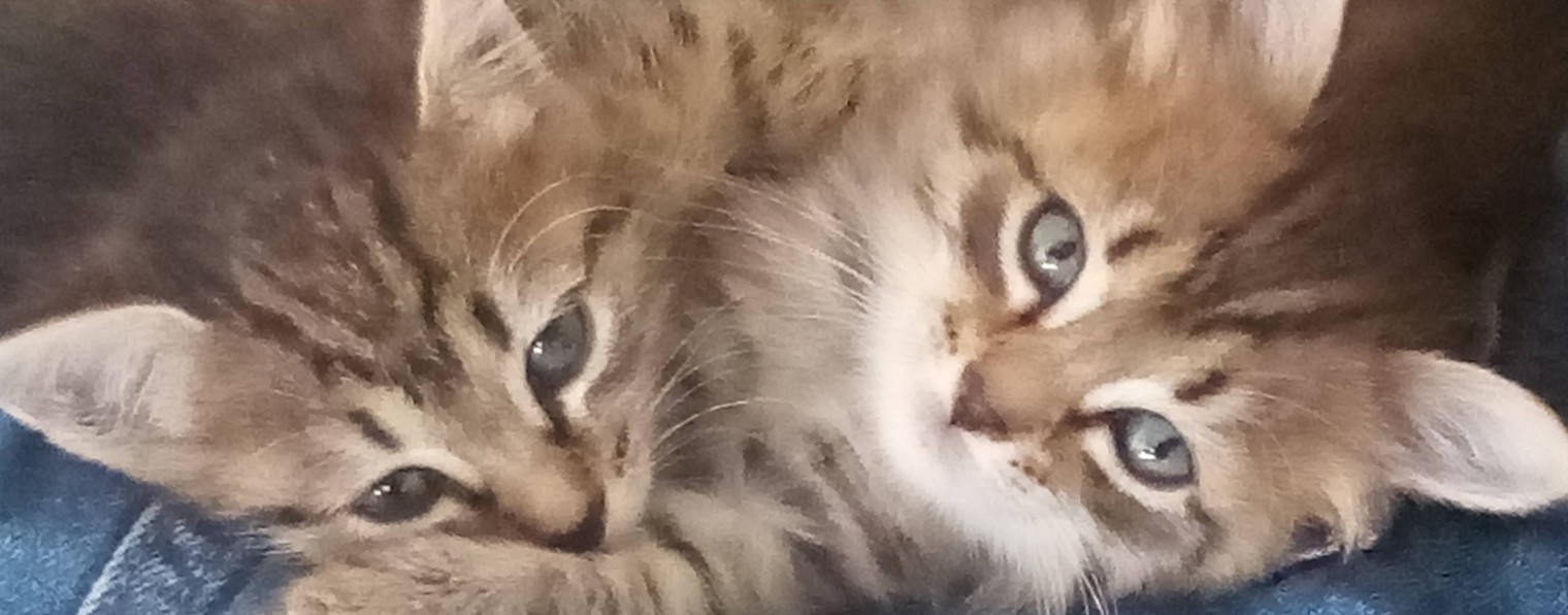 Жизнь во благо!