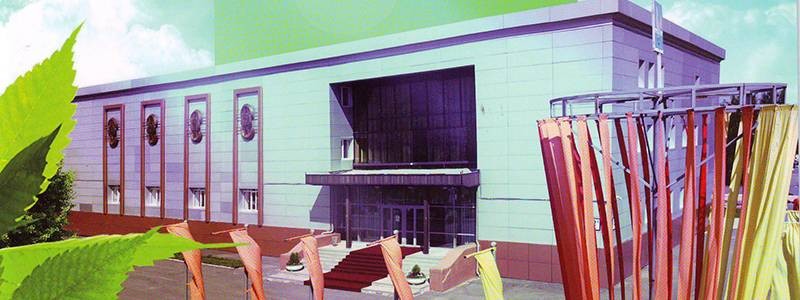 МБОУ ДО «Детская школа искусств»