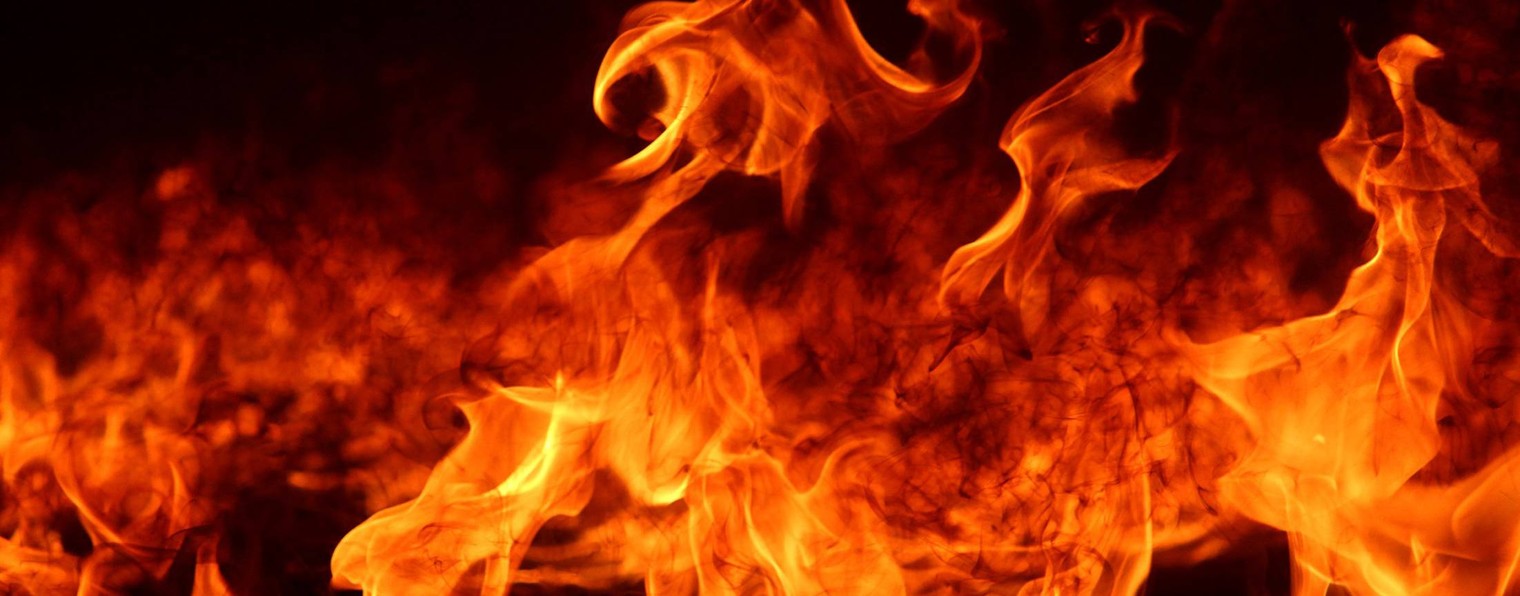 Честный Трейдинг Сегодня. Трейдинг обучение