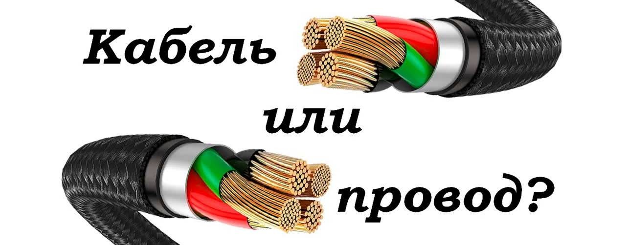 Д20 (Фазик и Нолик ТВ)