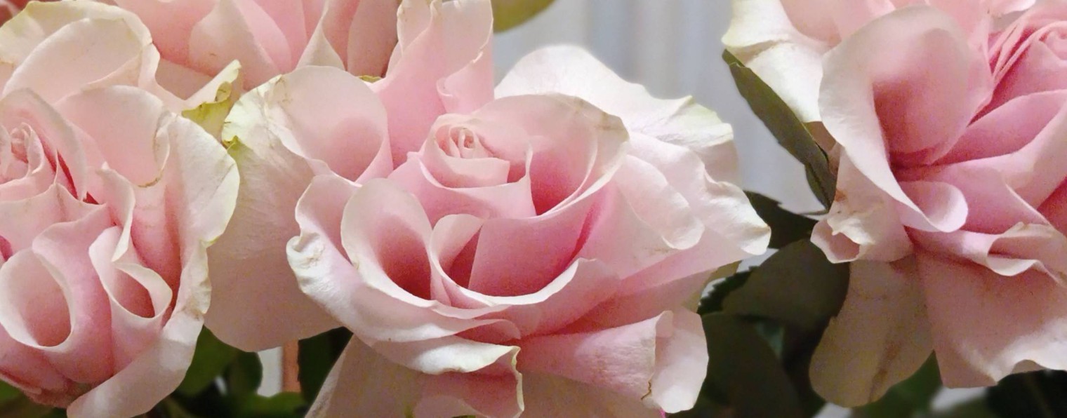 НаталИя Ежкова активна на ОК https://ok