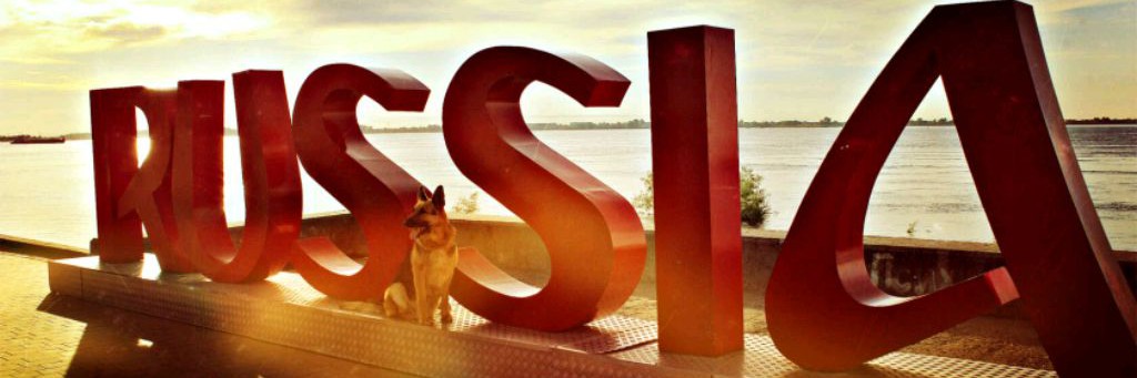 pitomnikveo_gordost_stalingrada