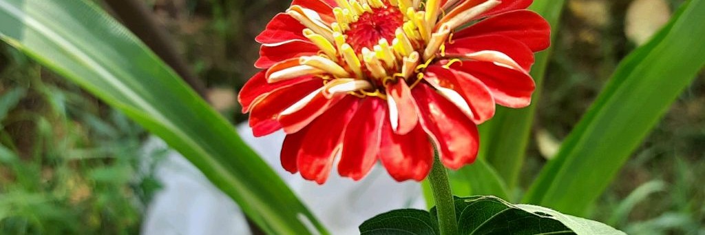 У Любаши от души