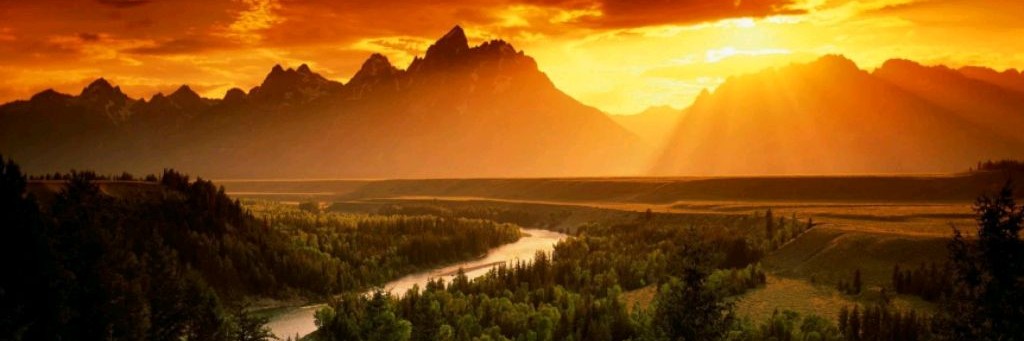 Алекс Крайчек