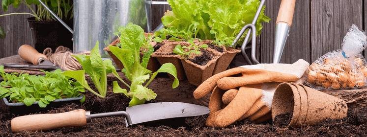 Сельский Агроном