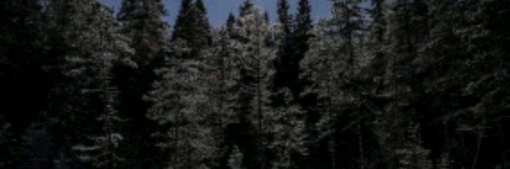 Сергей Григорьевич Потебня