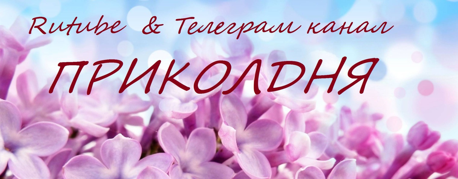 #Приколдня Подписаны 37 ваших друзей…