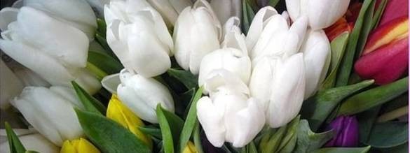 Серафима Ильина