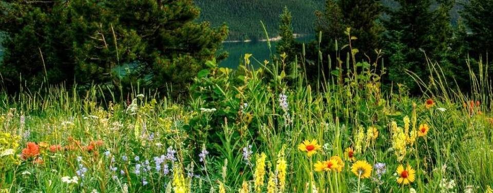 channel "Just Relax"