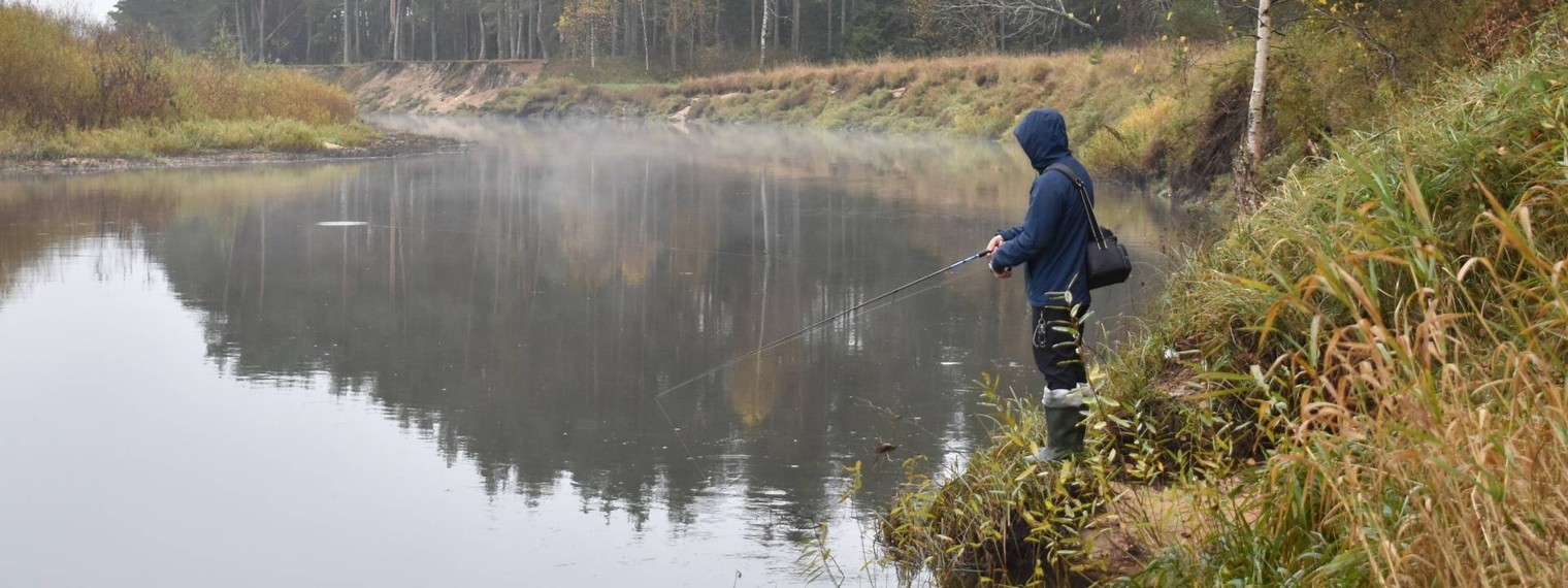 Бородатая жизнь