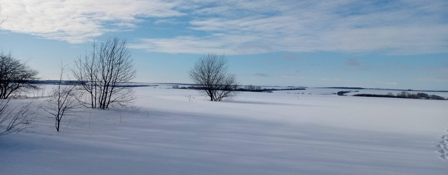 Путешественник из Тулы