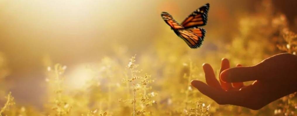 Сильное Место