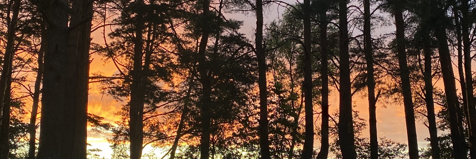 Серёжа Гёргич