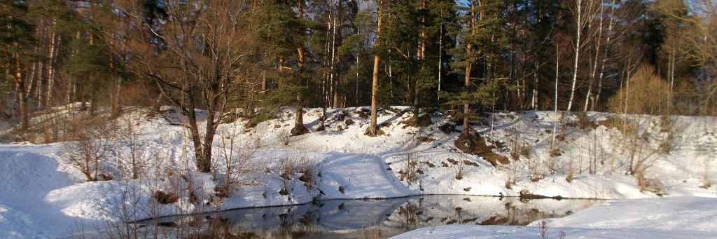 Живу в России