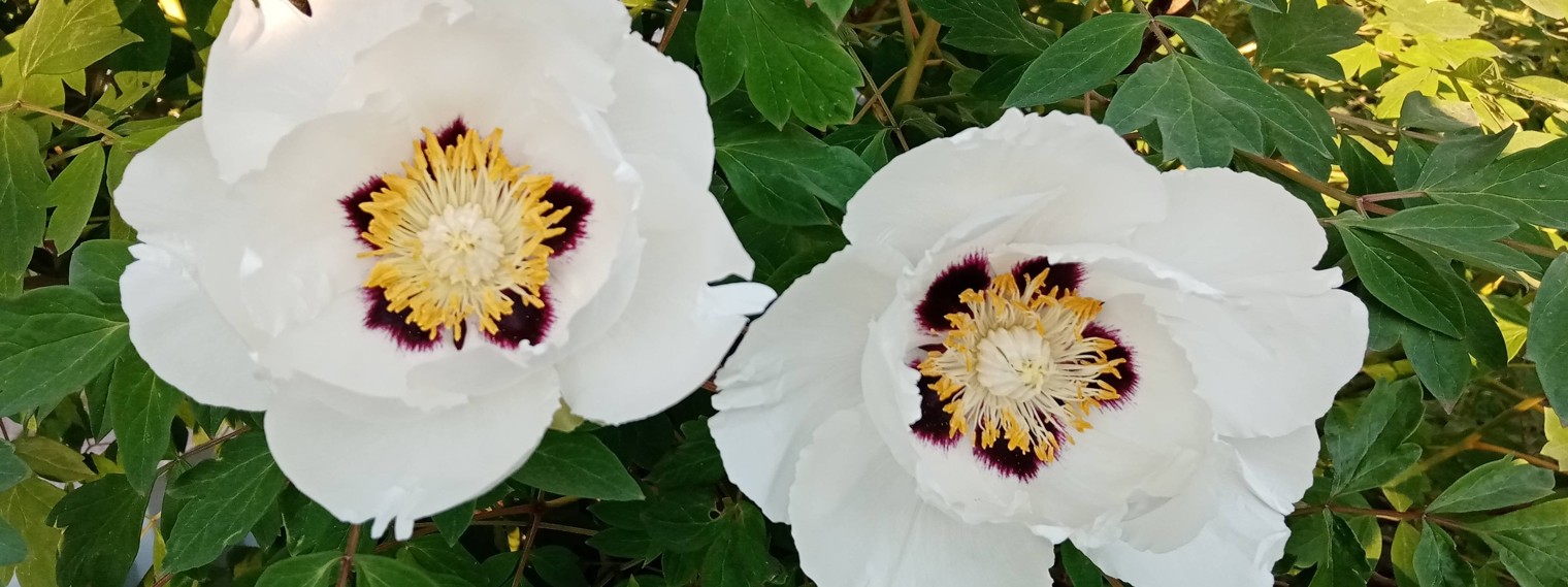 Владимир Петрович Я. +79109153714