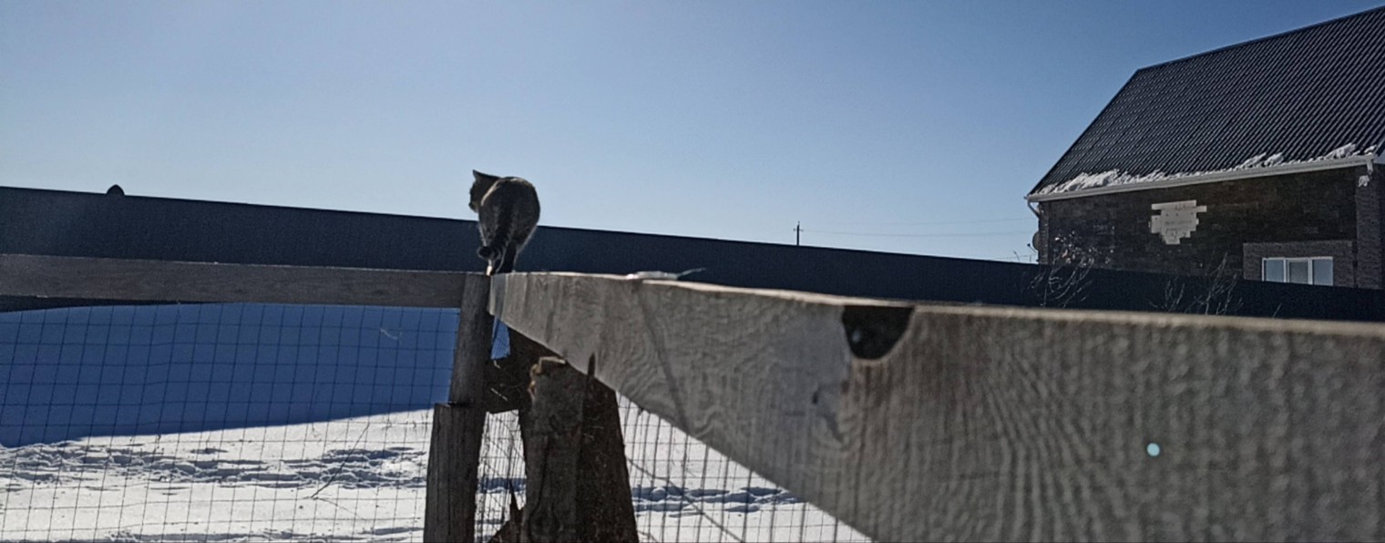 Дом на краю поля