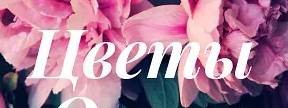 Цветы Олеси Сотниковой