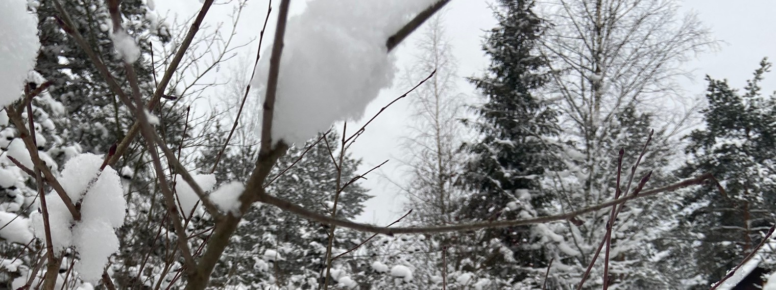 Сергей Виноградов