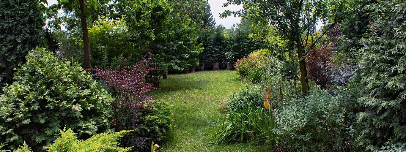 Сад Алириан