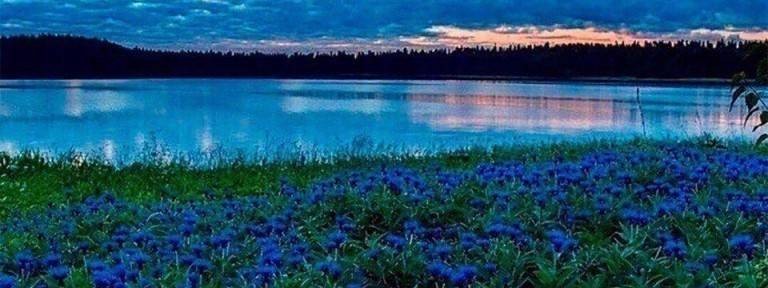 Владимир Уткин