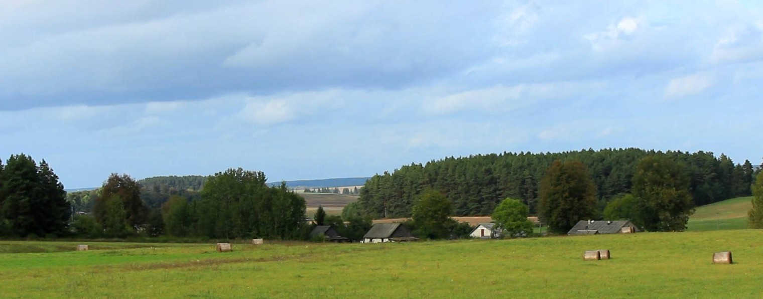 Деревенский Лесной Дом