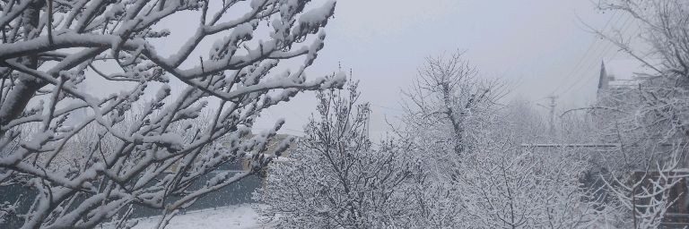 Носков Александр