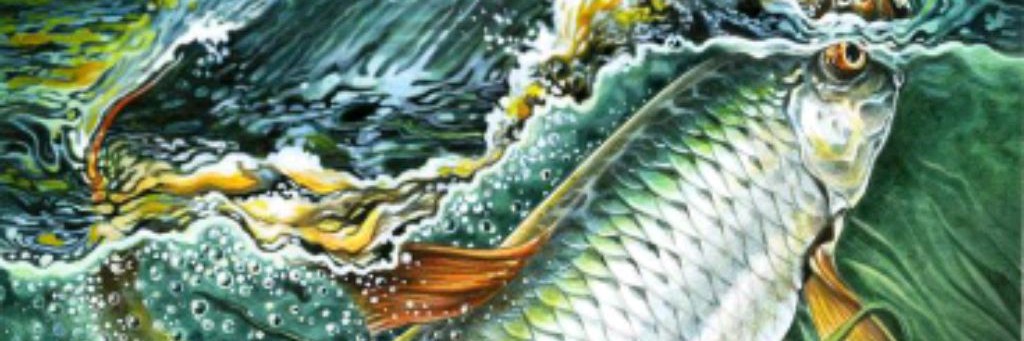 STRANNIK-PROVINCIA FISHING