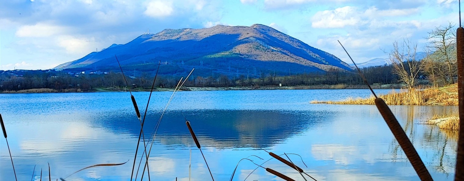 Тихон "Утиные истории"