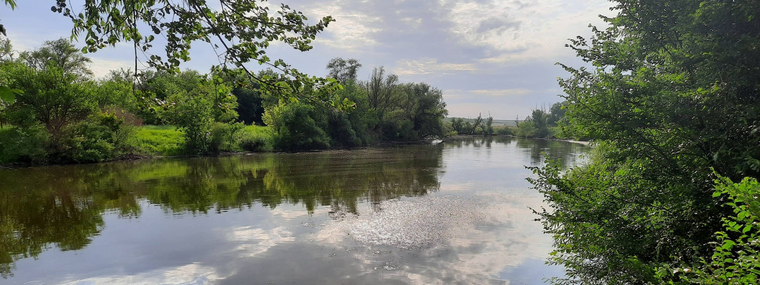 Дубинин Андрей