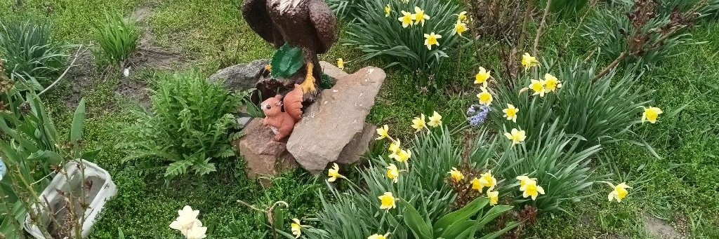 Карина Чехова