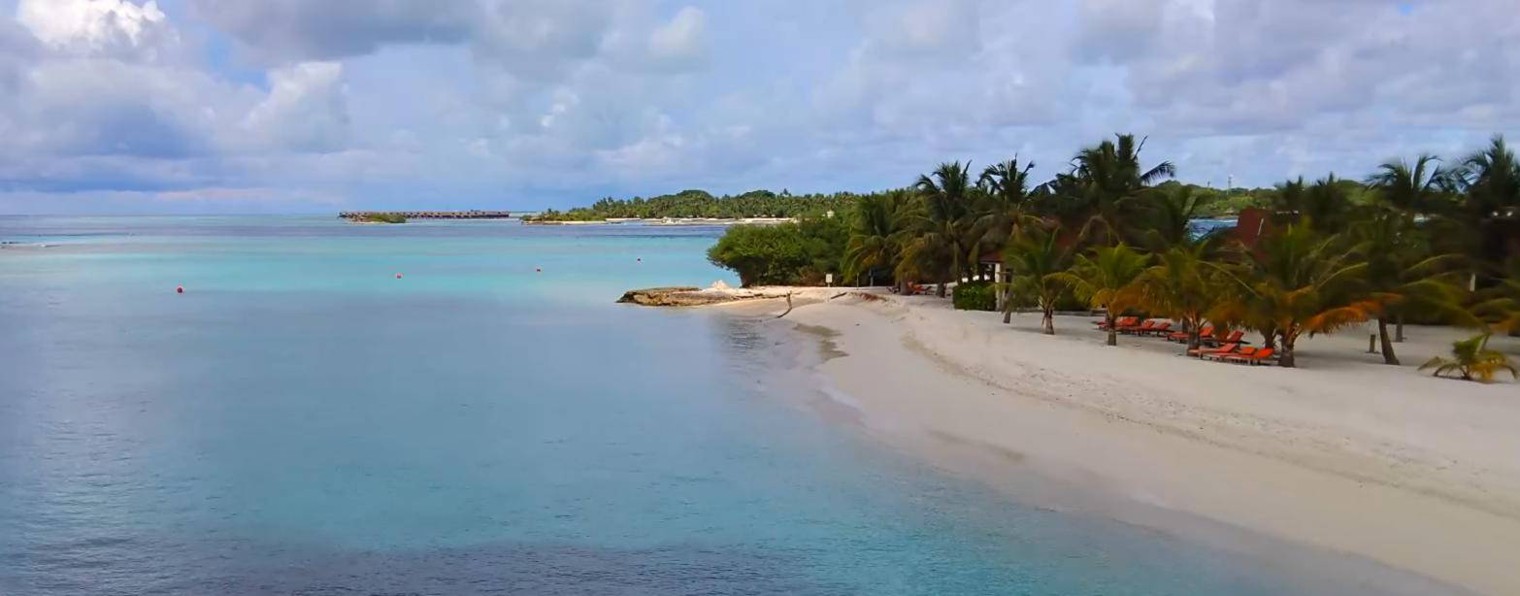 Дмитрий Анпилогов