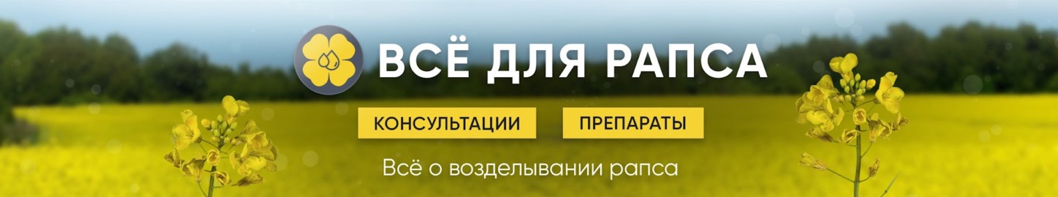 Все для рапса