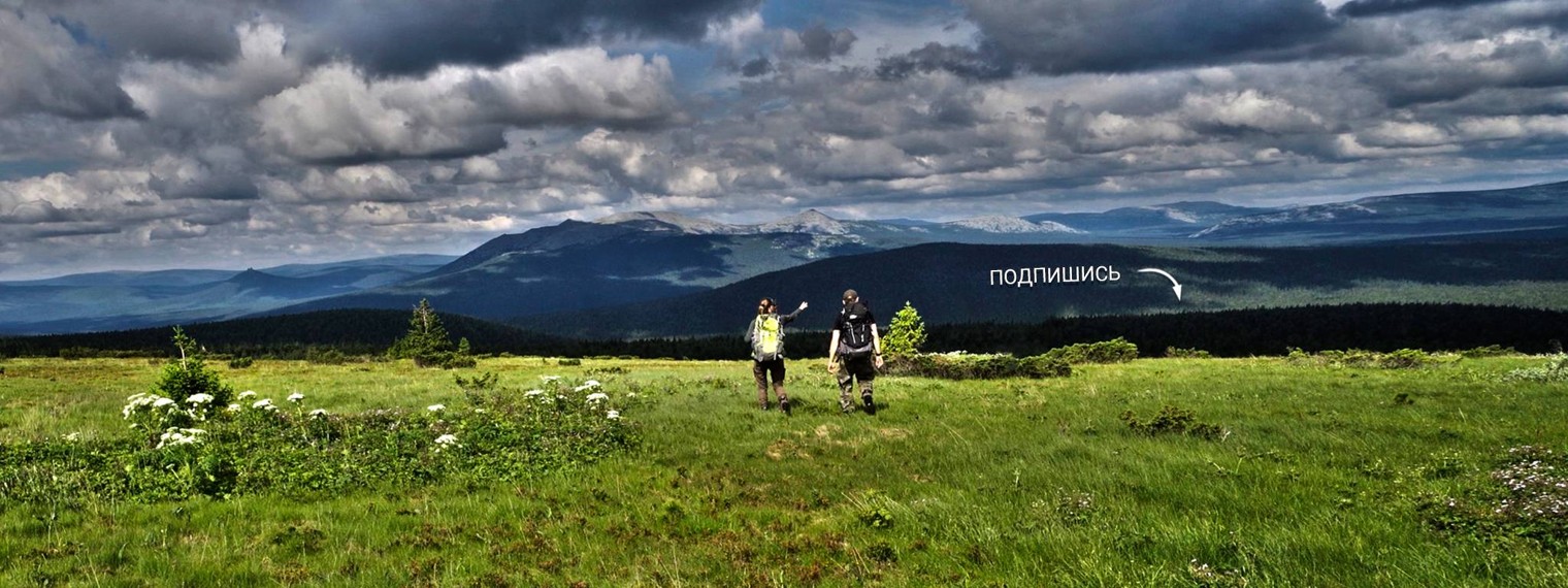 Лесной День