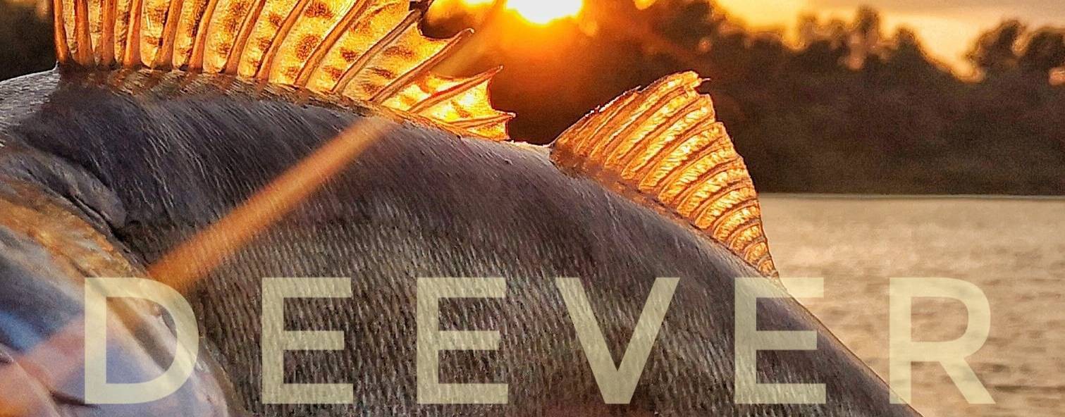 РЫБАЛКА с ДИВЕРОМ - DEEVER троллинг Ахтуба