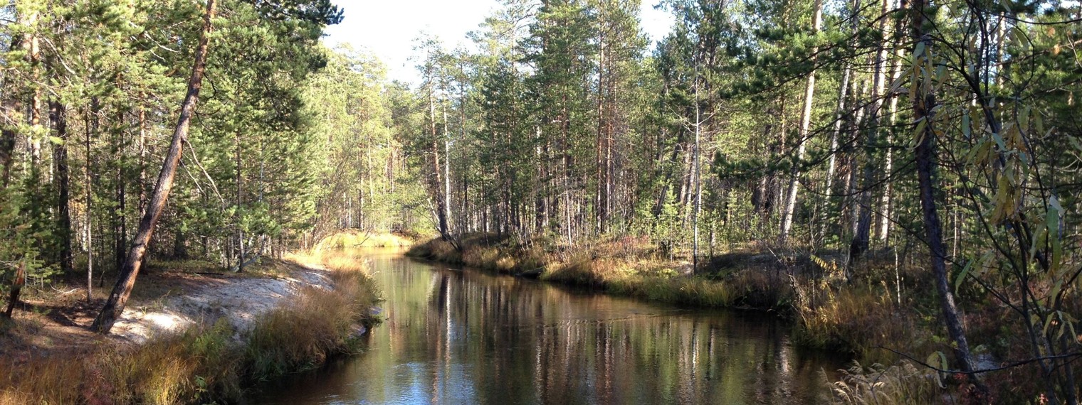 Однажды в Сибири