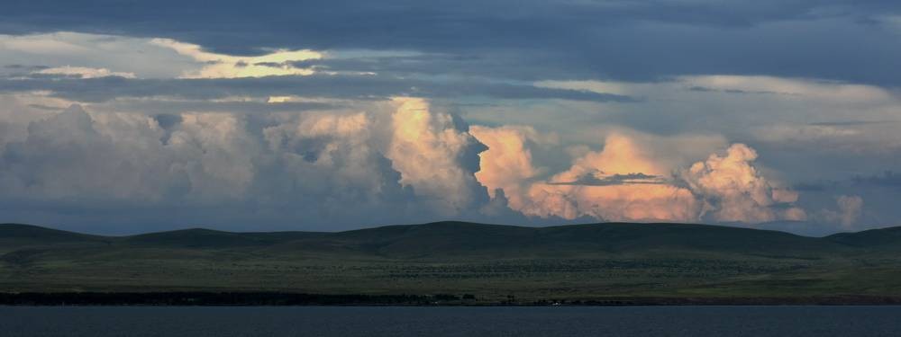 Ехали медведи.