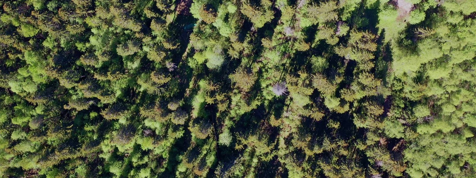 Пора по Базам