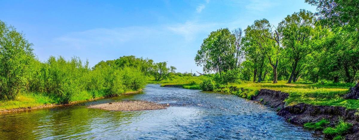 Здесь рыбы нет!