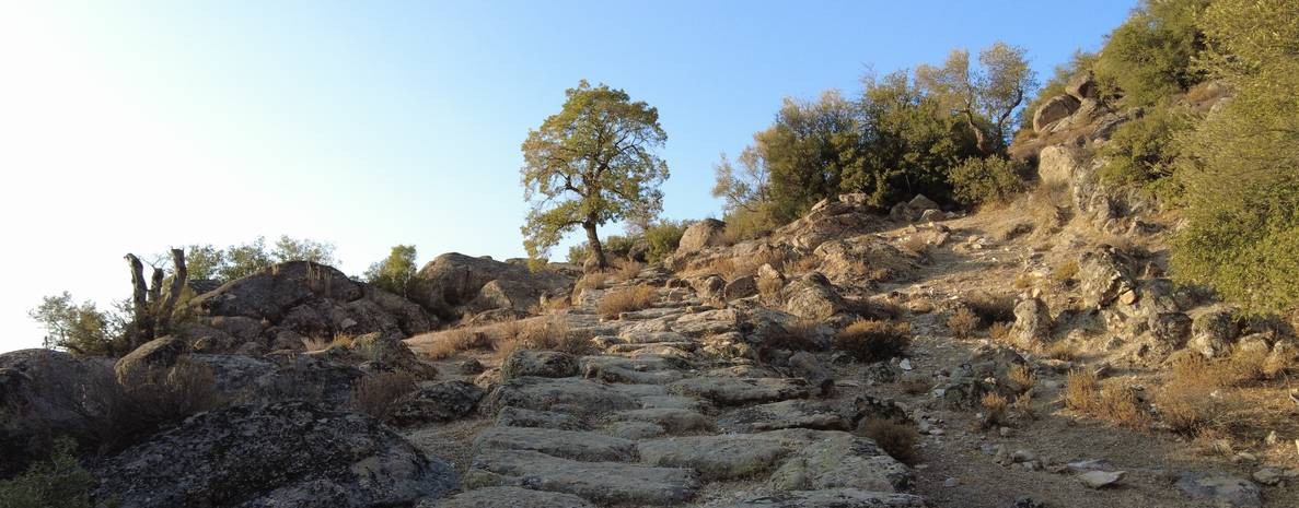 Мир путешествий.