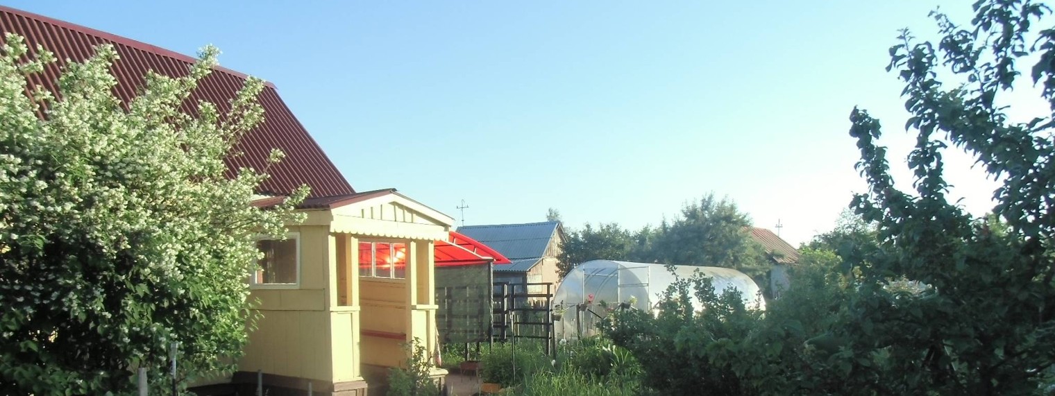 Дача Кухня Кошки