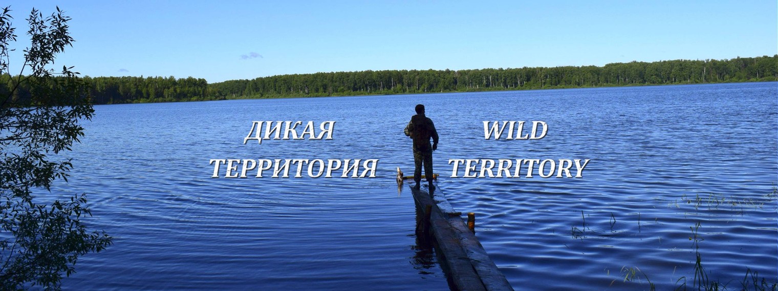 Дикая Территория