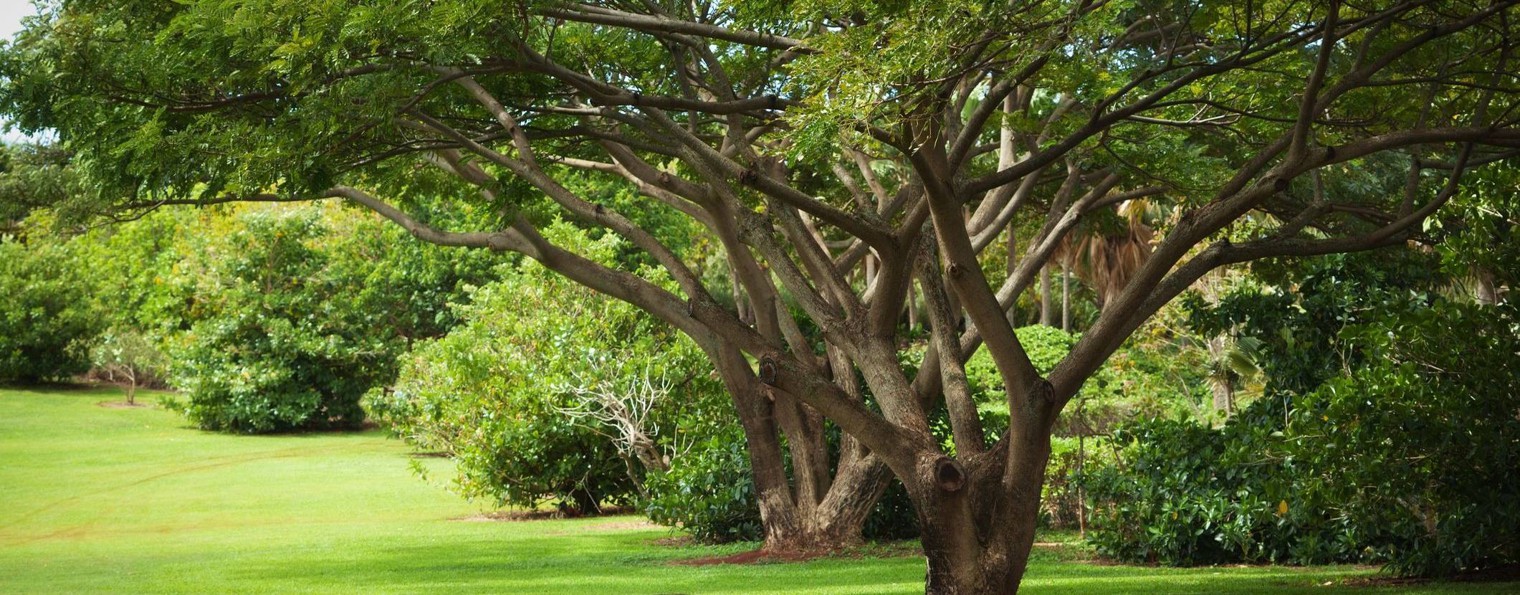 Обрезает Теплоухов