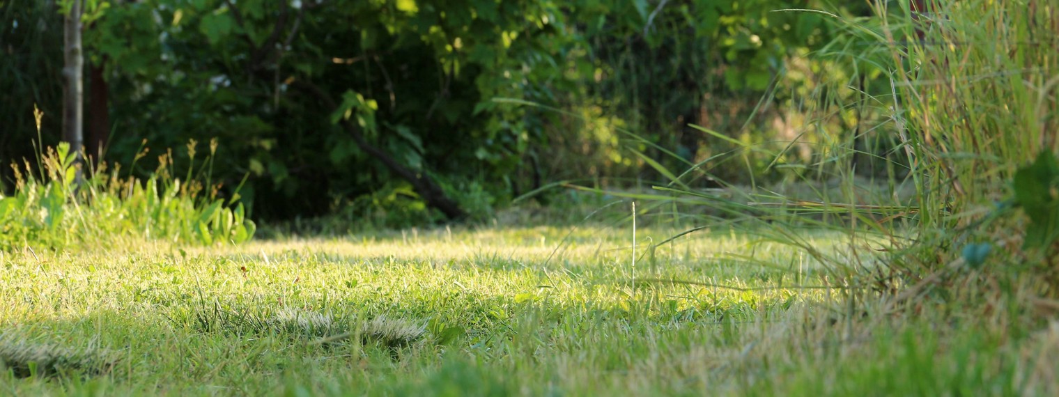 Сделай это сам