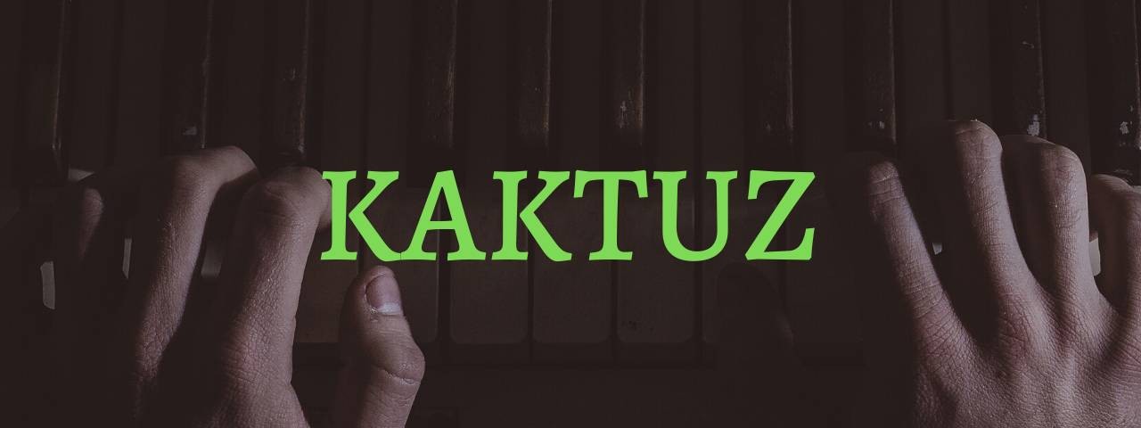 KaktuZ RemiX